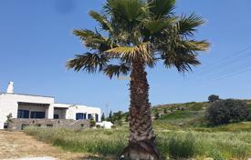 House with patio and fruit trees, close to beaches, Paros, Greece for 1,300,000 €